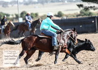 GoulburnCampdraft2018_3902