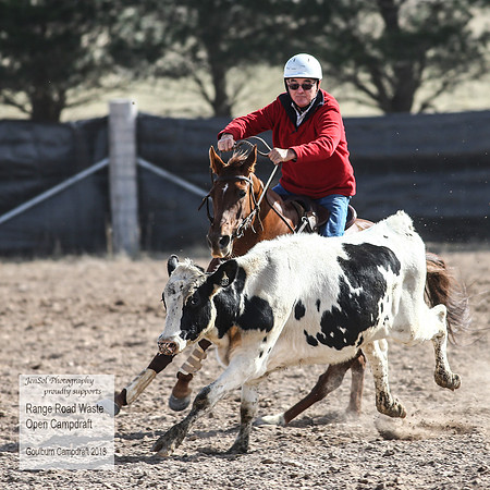 GoulburnCampdraft2018_3947