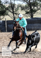 GoulburnCampdraft2018_3884