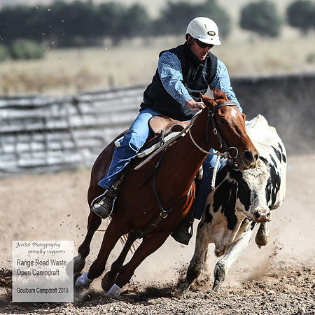 GoulburnCampdraft2018_4078