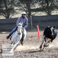 GoulburnCampdraft2018_3942