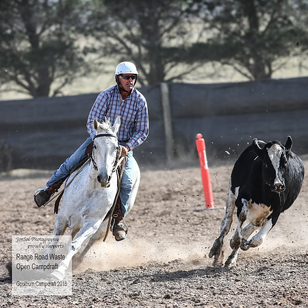 GoulburnCampdraft2018_3942