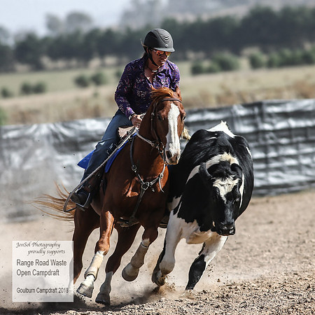 GoulburnCampdraft2018_4132