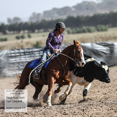 GoulburnCampdraft2018_4127
