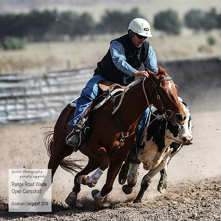 GoulburnCampdraft2018_4077