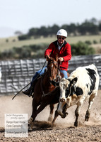 GoulburnCampdraft2018_3971