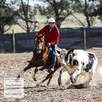 GoulburnCampdraft2018_3944