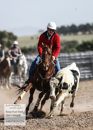 GoulburnCampdraft2018_3973