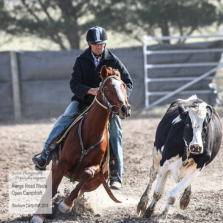 GoulburnCampdraft2018_4004