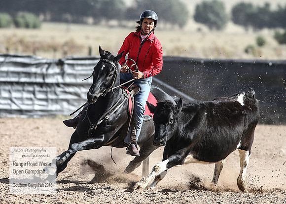 GoulburnCampdraft2018_4165
