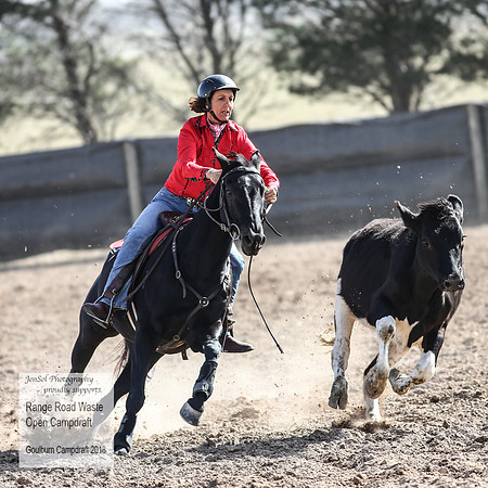 GoulburnCampdraft2018_4146