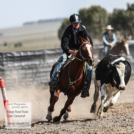 GoulburnCampdraft2018_4020