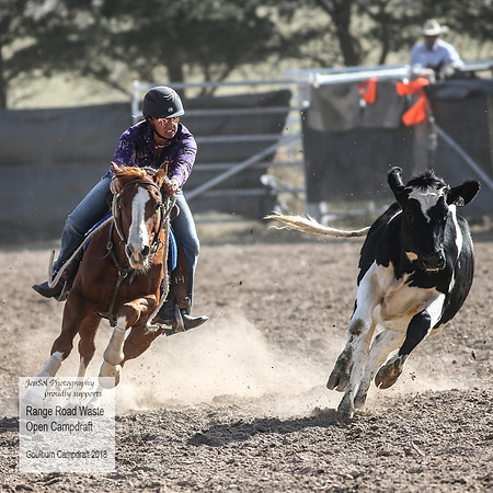 GoulburnCampdraft2018_4121