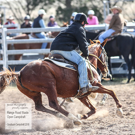 GoulburnCampdraft2018_4013