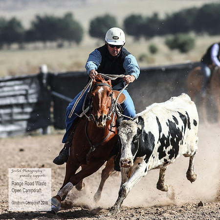GoulburnCampdraft2018_4054