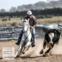 GoulburnCampdraft2018_3927