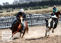 GoulburnCampdraft2018_3993