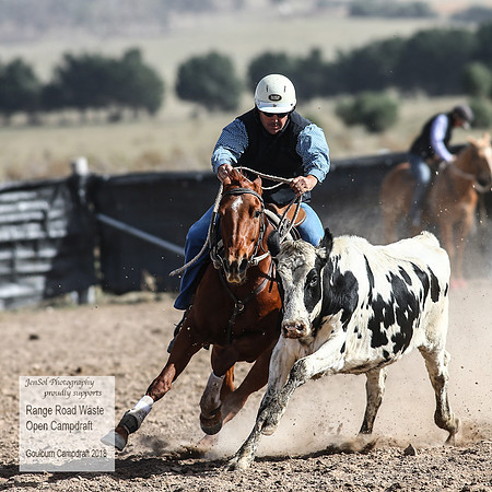 GoulburnCampdraft2018_4053