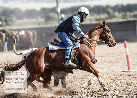 GoulburnCampdraft2018_4067