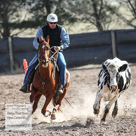 GoulburnCampdraft2018_4037