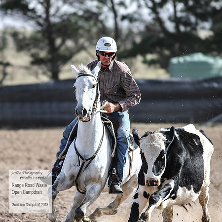 GoulburnCampdraft2018_3924