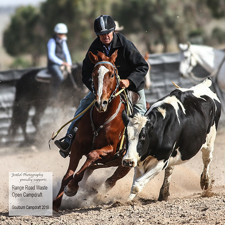 GoulburnCampdraft2018_4026