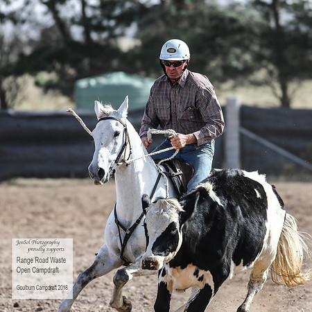 GoulburnCampdraft2018_3916