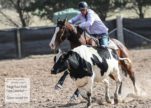 GoulburnCampdraft2018_3859