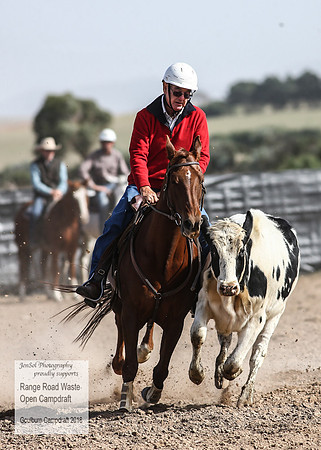GoulburnCampdraft2018_3967