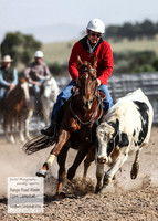 GoulburnCampdraft2018_3966