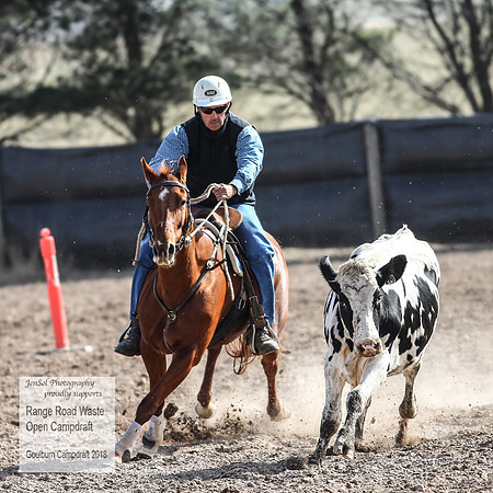 GoulburnCampdraft2018_4032