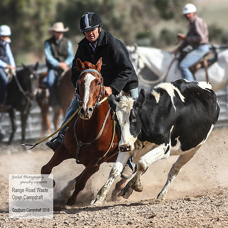 GoulburnCampdraft2018_4016