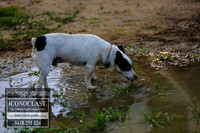 BenHall_0053