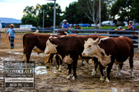 BenHall_0063