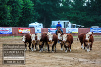 BenHall_0006