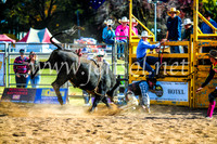BathurstShow2017Sun_4633