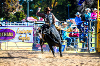 BathurstShow2017Sun_4679