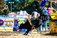 BathurstShow2017Sun_4668