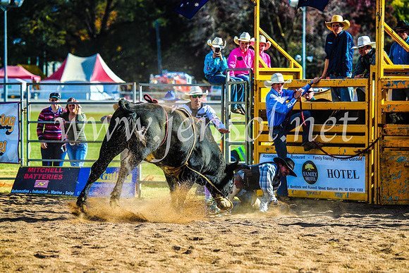 BathurstShow2017Sun_4638
