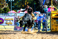BathurstShow2017Sun_4673