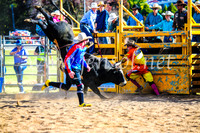 BathurstShow2017Sun_4643