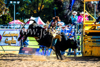 BathurstShow2017Sun_4661