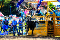 BathurstShow2017Sun_4651