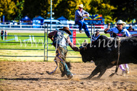 BathurstShow2017Sun_4690