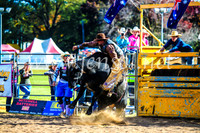 BathurstShow2017Sun_4666