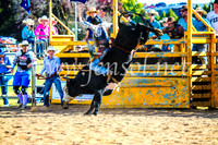 BathurstShow2017Sun_4610