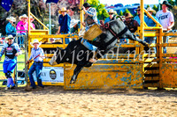 BathurstShow2017Sun_4609