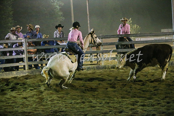 TumutCampdraft2016Open_8073