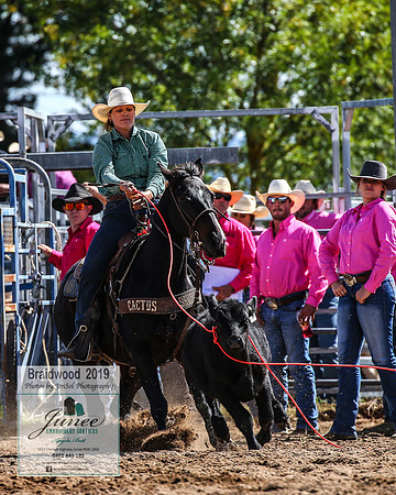 BraidwoodRodeo2019_1750