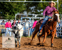 BraidwoodRodeo2019_0085